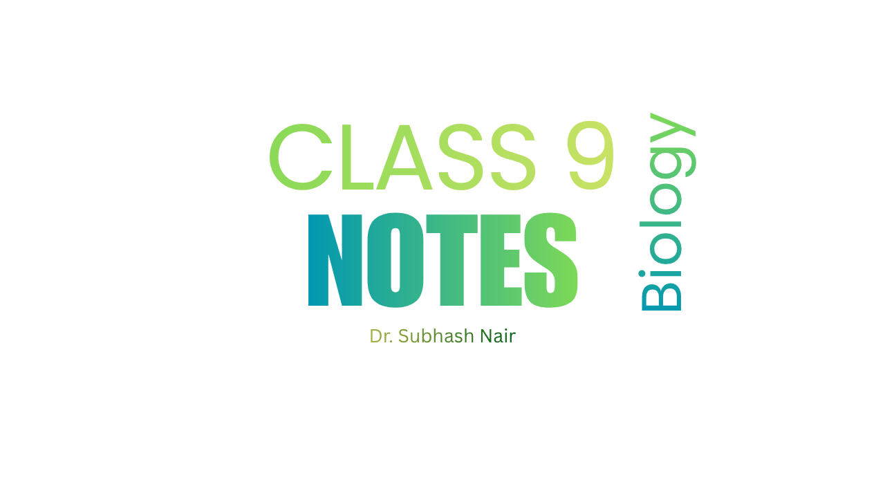Class 9 Notes and Tests