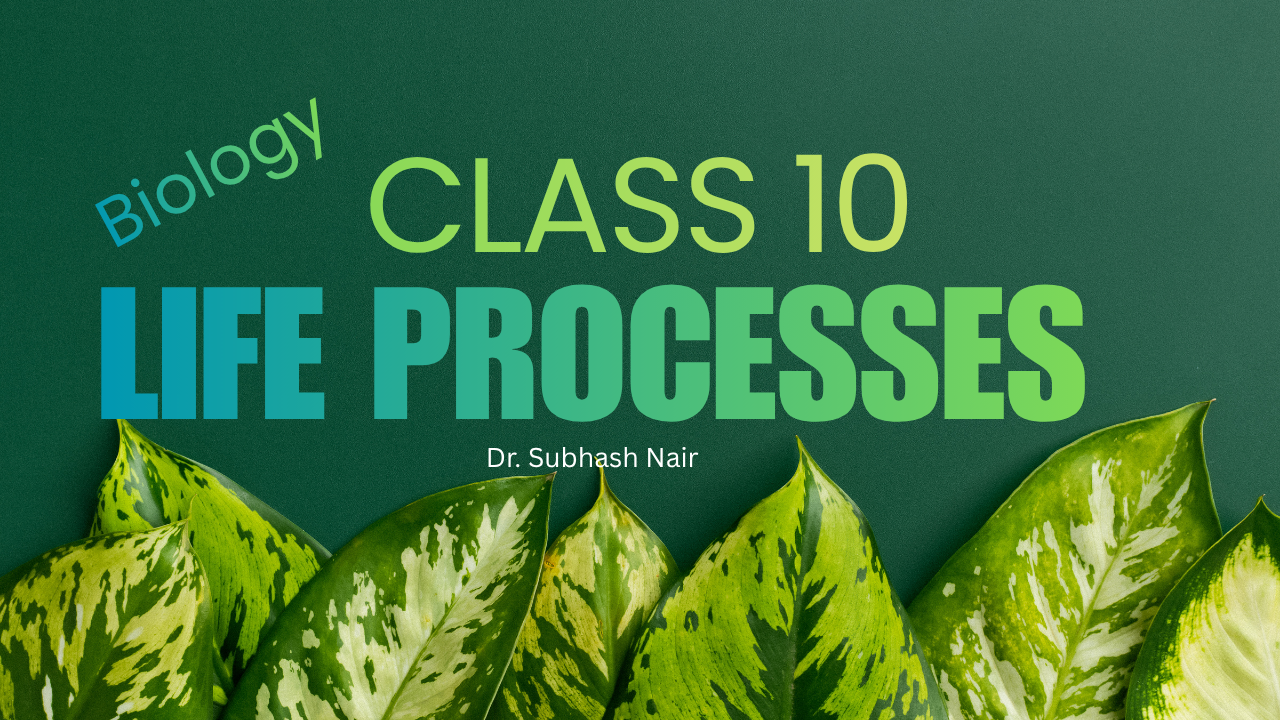 10 Biology – Life Process