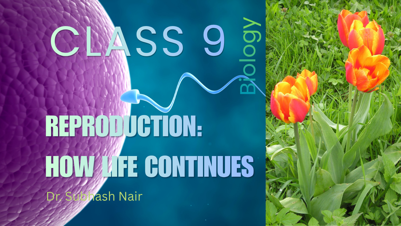 Class 9 Reproduction: How Life Continues